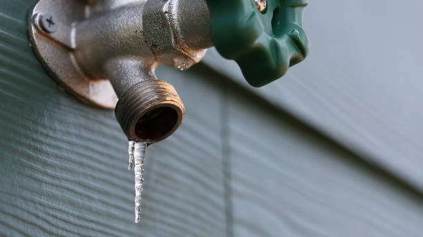 Best Leak Detection Services  in Walton, KY